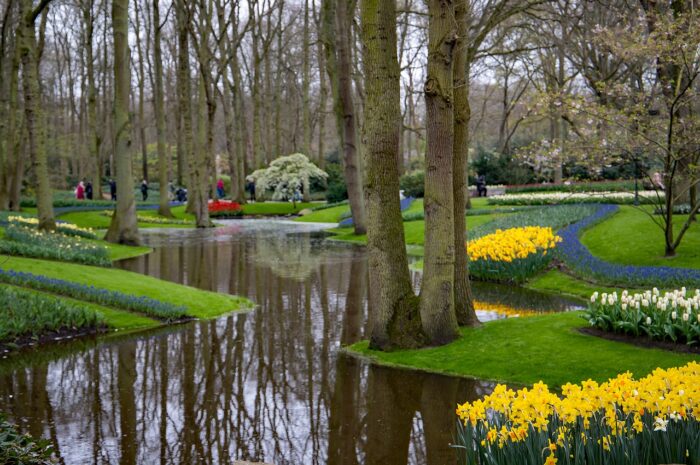 Private Keukenhof gardens tour